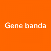 Gene banda (24)